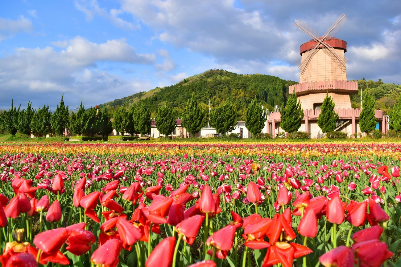 メインビジュアルイメージ｜メルキュール鳥取大山リゾート＆スパ