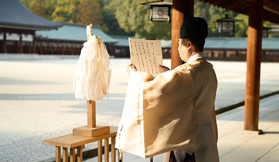 在大山令人兴奋的暑假